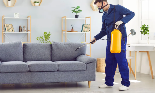 Deep Cleaning
